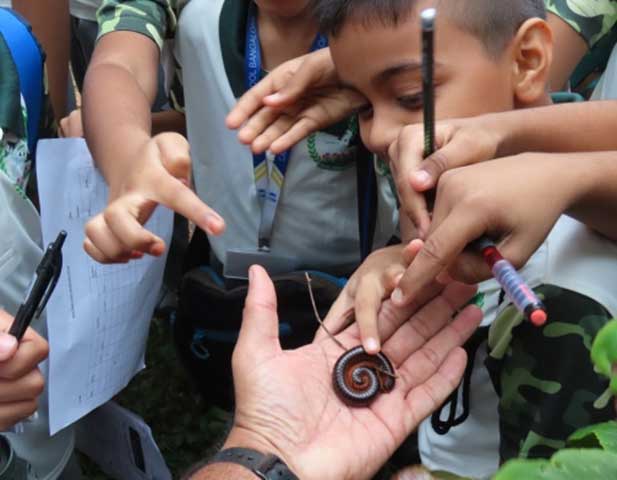 Carmel_High_School_Basaveshwar_nagar_Biopark_University_3