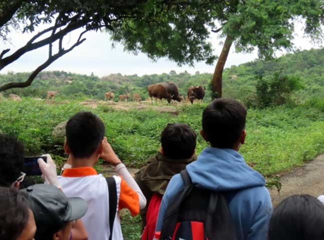 nature_study_camp__G8_students_NPS_Kudlu_branch_Bannerghatta_Biological_park_22