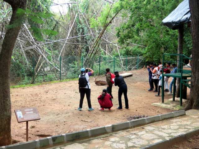 nature_study_camp__G8_students_NPS_Kudlu_branch_Bannerghatta_Biological_park_25