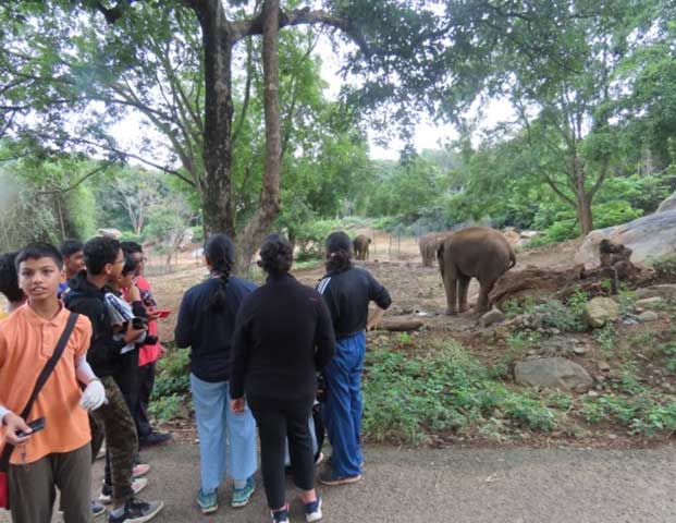 nature_study_camp__G8_students_NPS_Kudlu_branch_Bannerghatta_Biological_park_7
