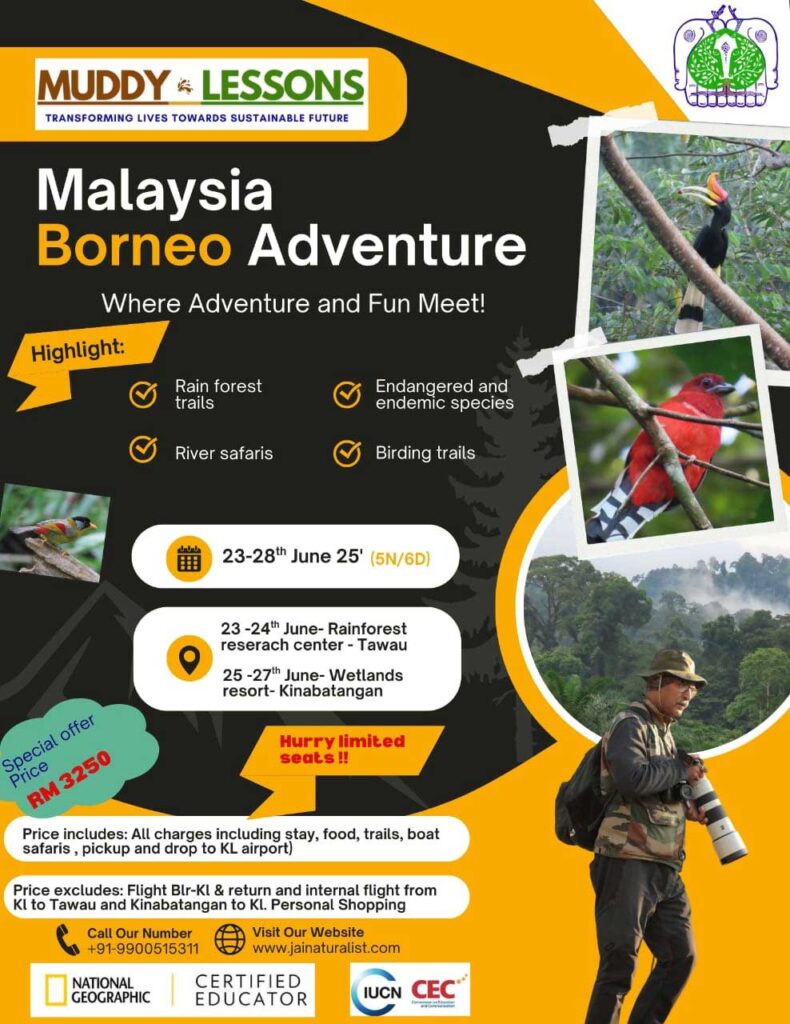 Malaysia_Borneo